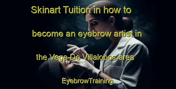 Skinart Tuition in how to become an eyebrow artist in the Vega De Villalobos area | EyebrowTraining | EyebrowClasses | SkinartTraining-Spain