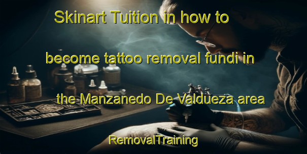 Skinart Tuition in how to become tattoo removal fundi in the Manzanedo De Valdueza area | RemovalTraining | RemovalClasses | SkinartTraining-Spain