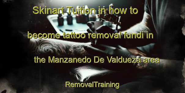 Skinart Tuition in how to become tattoo removal fundi in the Manzanedo De Valdueza area | RemovalTraining | RemovalClasses | SkinartTraining-Spain