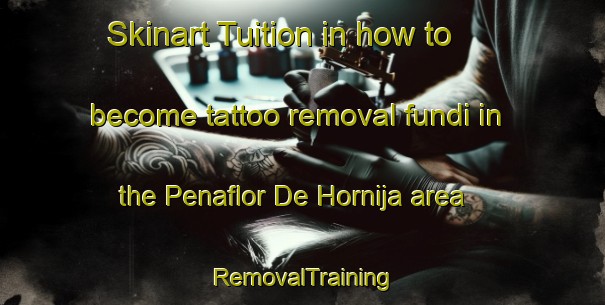 Skinart Tuition in how to become tattoo removal fundi in the Penaflor De Hornija area | RemovalTraining | RemovalClasses | SkinartTraining-Spain