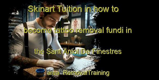 Skinart Tuition in how to become tattoo removal fundi in the Sant Aniol De Finestres area | RemovalTraining | RemovalClasses | SkinartTraining-Spain