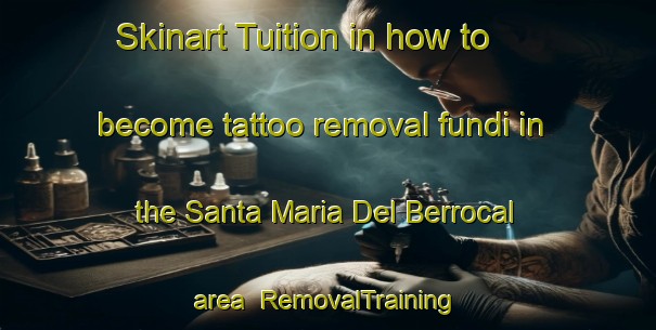 Skinart Tuition in how to become tattoo removal fundi in the Santa Maria Del Berrocal area | RemovalTraining | RemovalClasses | SkinartTraining-Spain