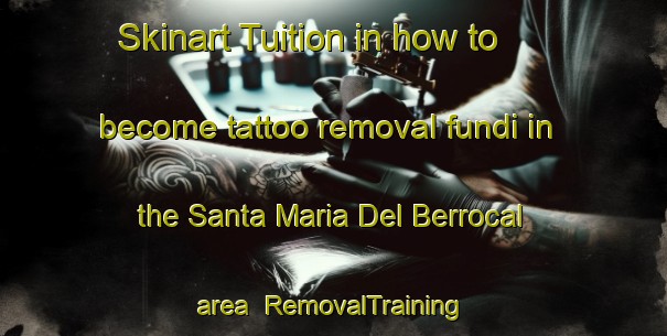 Skinart Tuition in how to become tattoo removal fundi in the Santa Maria Del Berrocal area | RemovalTraining | RemovalClasses | SkinartTraining-Spain