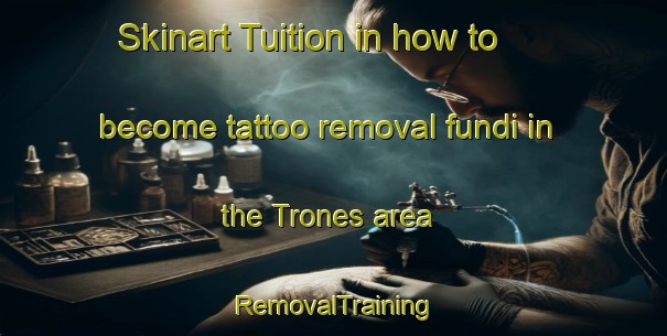 Skinart Tuition in how to become tattoo removal fundi in the Trones area | RemovalTraining | RemovalClasses | SkinartTraining-Spain