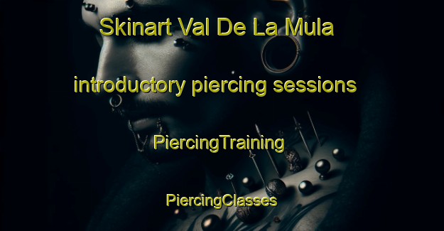 Skinart Val De La Mula introductory piercing sessions | #PiercingTraining #PiercingClasses #SkinartTraining-Spain