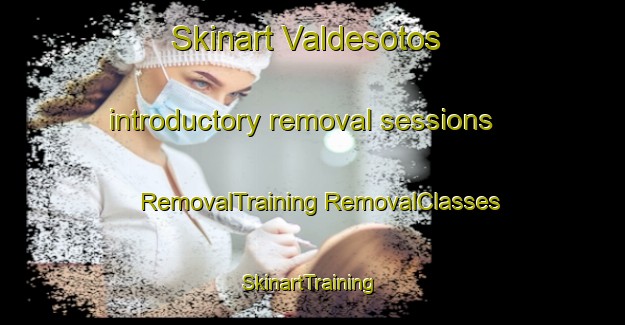 Skinart Valdesotos introductory removal sessions | #RemovalTraining #RemovalClasses #SkinartTraining-Spain