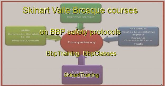 Skinart Valle Brosque courses on BBP safety protocols | BbpTraining | BbpClasses | SkinartTraining-Spain