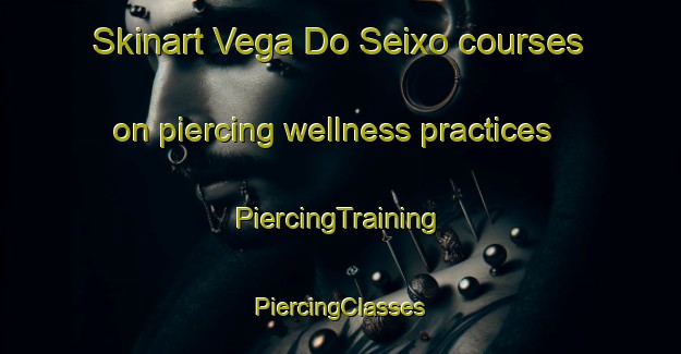 Skinart Vega Do Seixo courses on piercing wellness practices | #PiercingTraining #PiercingClasses #SkinartTraining-Spain