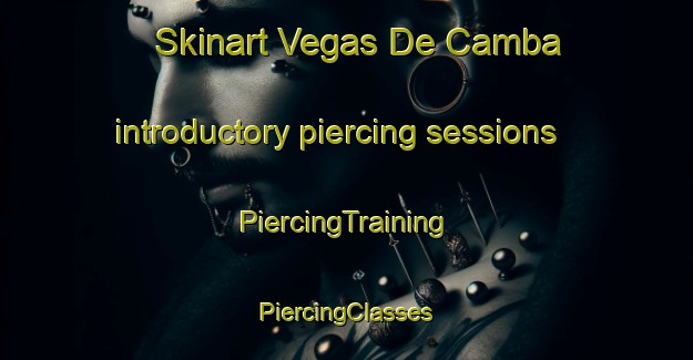 Skinart Vegas De Camba introductory piercing sessions | #PiercingTraining #PiercingClasses #SkinartTraining-Spain