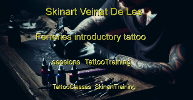 Skinart Veinat De Les Ferreries introductory tattoo sessions | TattooTraining | TattooClasses | SkinartTraining-Spain