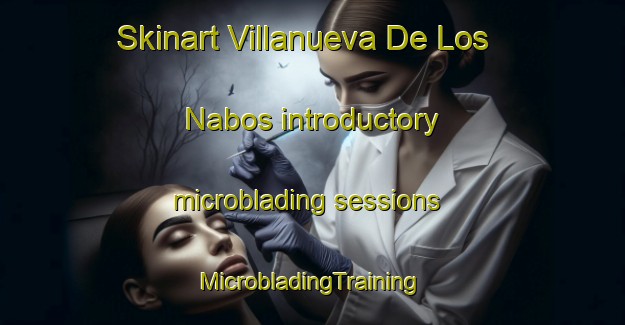 Skinart Villanueva De Los Nabos introductory microblading sessions | #MicrobladingTraining #MicrobladingClasses #SkinartTraining-Spain