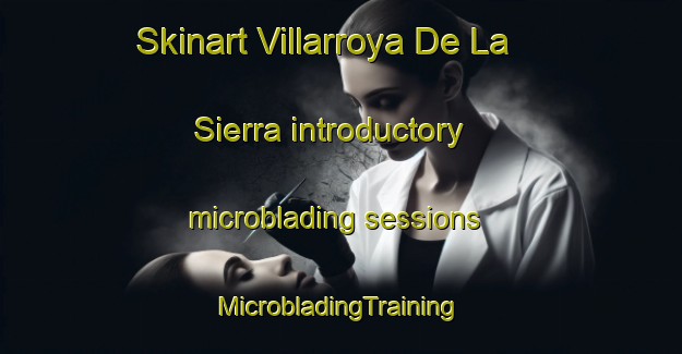 Skinart Villarroya De La Sierra introductory microblading sessions | #MicrobladingTraining #MicrobladingClasses #SkinartTraining-Spain