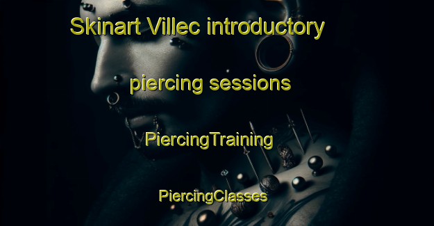 Skinart Villec introductory piercing sessions | PiercingTraining | PiercingClasses | SkinartTraining-Spain