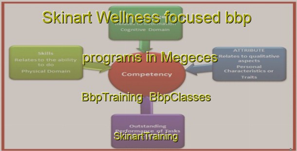 Skinart Wellness-focused bbp programs in Megeces | BbpTraining | BbpClasses | SkinartTraining-Spain