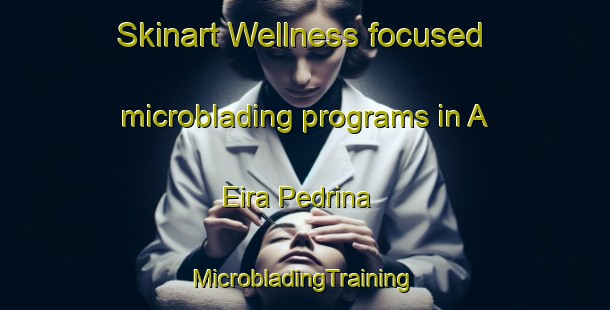 Skinart Wellness-focused microblading programs in A Eira Pedrina | #MicrobladingTraining #MicrobladingClasses #SkinartTraining-Spain