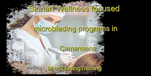 Skinart Wellness-focused microblading programs in Camarmena | #MicrobladingTraining #MicrobladingClasses #SkinartTraining-Spain