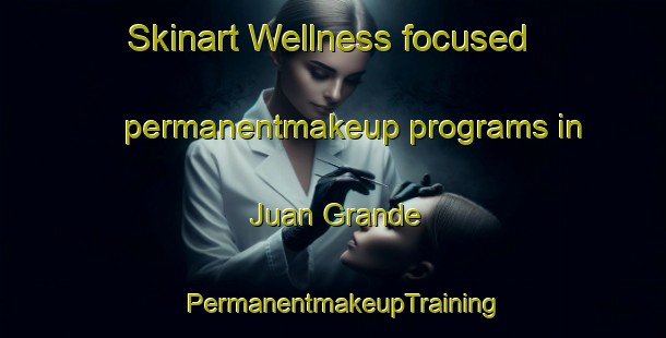 Skinart Wellness-focused permanentmakeup programs in Juan Grande | PermanentmakeupTraining | PermanentmakeupClasses | SkinartTraining-Spain