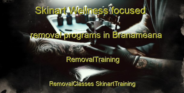 Skinart Wellness-focused removal programs in Branameana | #RemovalTraining #RemovalClasses #SkinartTraining-Spain