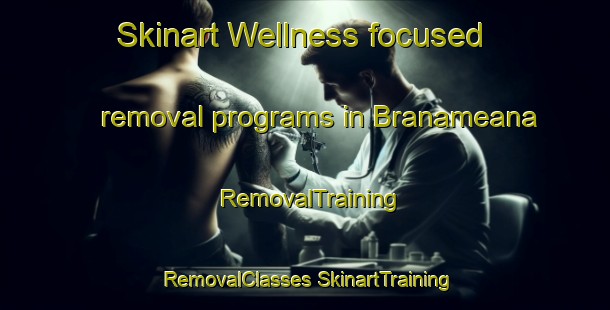 Skinart Wellness-focused removal programs in Branameana | #RemovalTraining #RemovalClasses #SkinartTraining-Spain