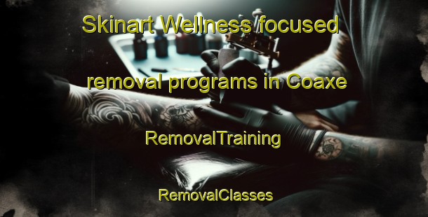 Skinart Wellness-focused removal programs in Coaxe | RemovalTraining | RemovalClasses | SkinartTraining-Spain