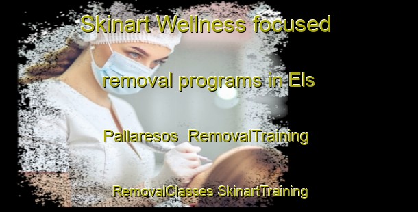 Skinart Wellness-focused removal programs in Els Pallaresos | #RemovalTraining #RemovalClasses #SkinartTraining-Spain