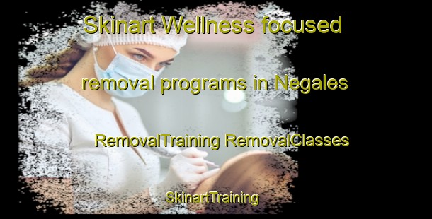 Skinart Wellness-focused removal programs in Negales | #RemovalTraining #RemovalClasses #SkinartTraining-Spain