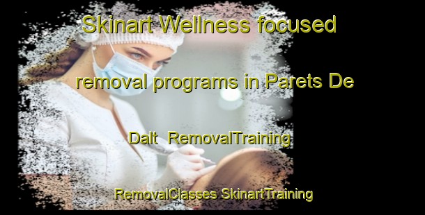 Skinart Wellness-focused removal programs in Parets De Dalt | #RemovalTraining #RemovalClasses #SkinartTraining-Spain