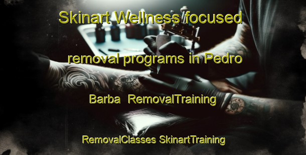 Skinart Wellness-focused removal programs in Pedro Barba | #RemovalTraining #RemovalClasses #SkinartTraining-Spain