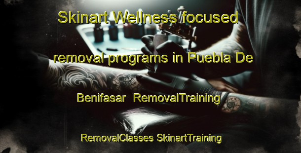 Skinart Wellness-focused removal programs in Puebla De Benifasar | #RemovalTraining #RemovalClasses #SkinartTraining-Spain