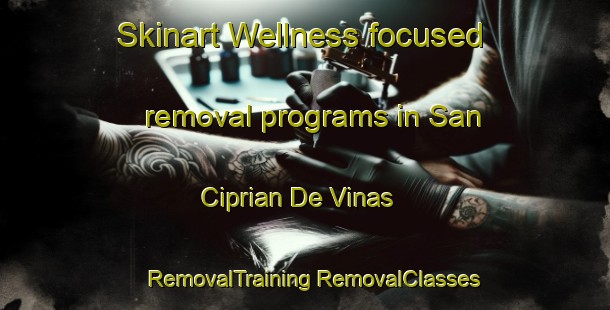 Skinart Wellness-focused removal programs in San Ciprian De Vinas | #RemovalTraining #RemovalClasses #SkinartTraining-Spain