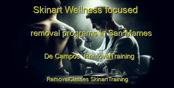 Skinart Wellness-focused removal programs in San Mames De Campos | #RemovalTraining #RemovalClasses #SkinartTraining-Spain