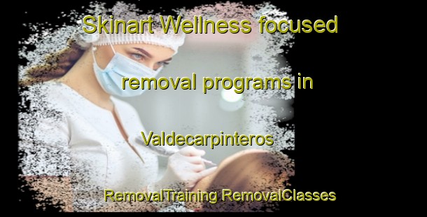 Skinart Wellness-focused removal programs in Valdecarpinteros | #RemovalTraining #RemovalClasses #SkinartTraining-Spain