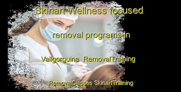 Skinart Wellness-focused removal programs in Vallgorguina | #RemovalTraining #RemovalClasses #SkinartTraining-Spain