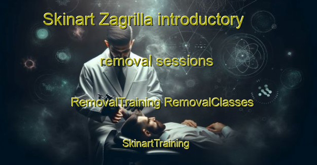 Skinart Zagrilla introductory removal sessions | #RemovalTraining #RemovalClasses #SkinartTraining-Spain