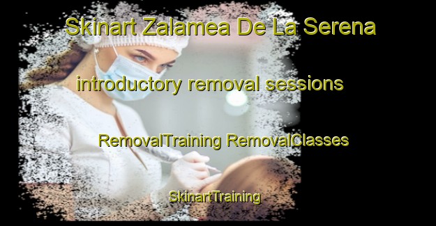 Skinart Zalamea De La Serena introductory removal sessions | #RemovalTraining #RemovalClasses #SkinartTraining-Spain