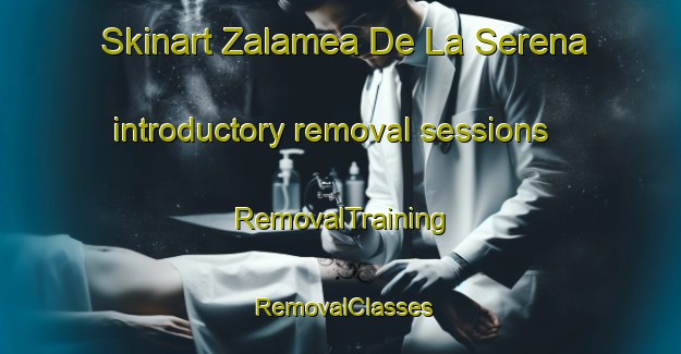 Skinart Zalamea De La Serena introductory removal sessions | RemovalTraining | RemovalClasses | SkinartTraining-Spain